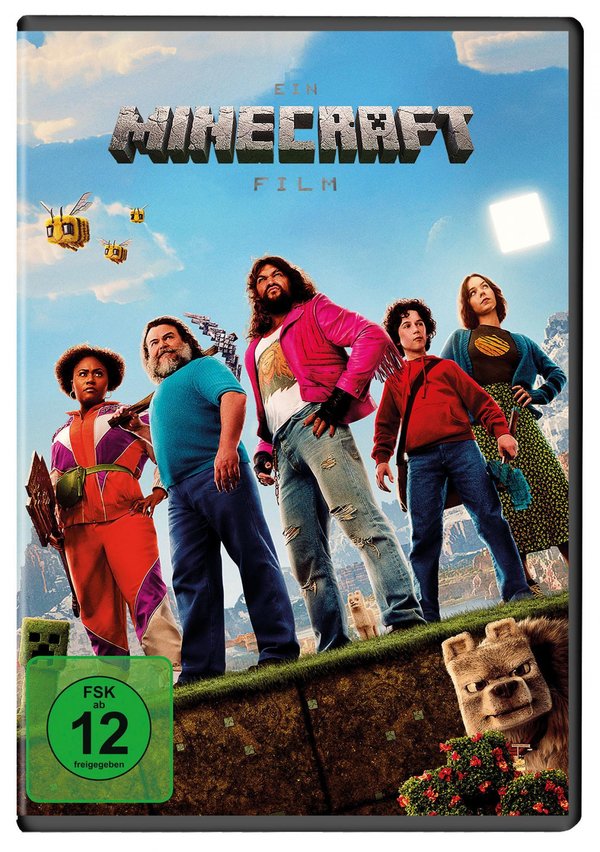 Ein Minecraft Film  (DVD)