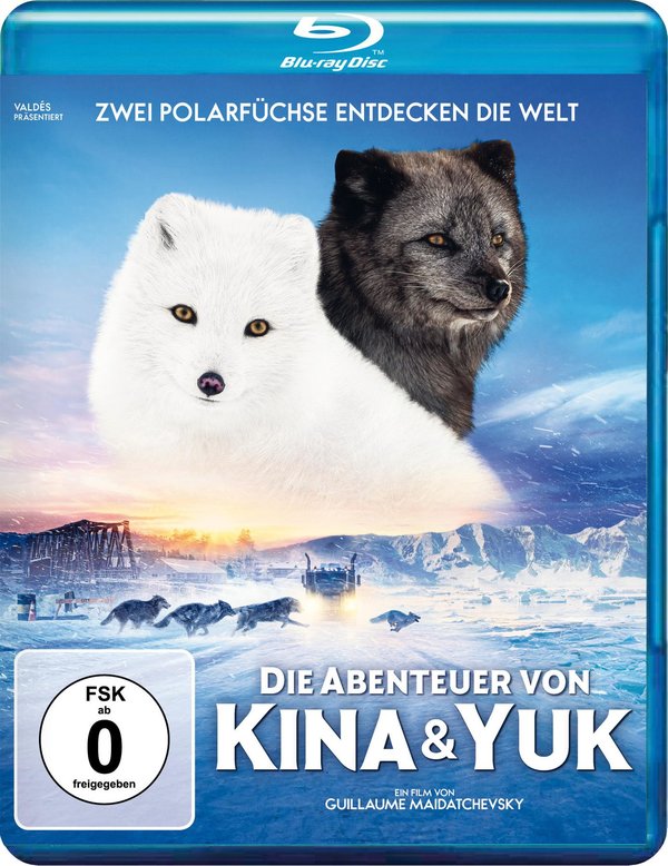 Die Abenteuer von Kina & Yuk - Zwei Polarfüchse entdecken die Welt  (Blu-ray Disc)