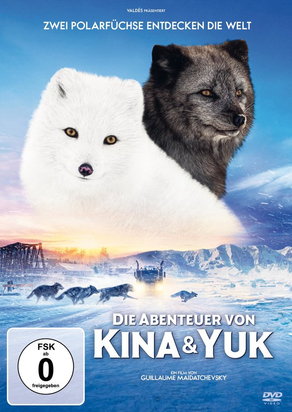 Die Abenteuer von Kina & Yuk - Zwei Polarfüchse entdecken die Welt  (DVD)
