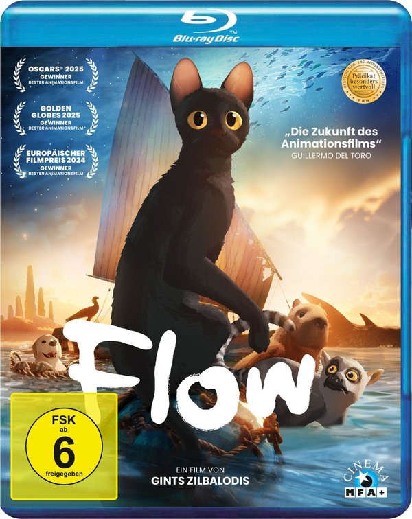 Flow  (Blu-ray Disc)