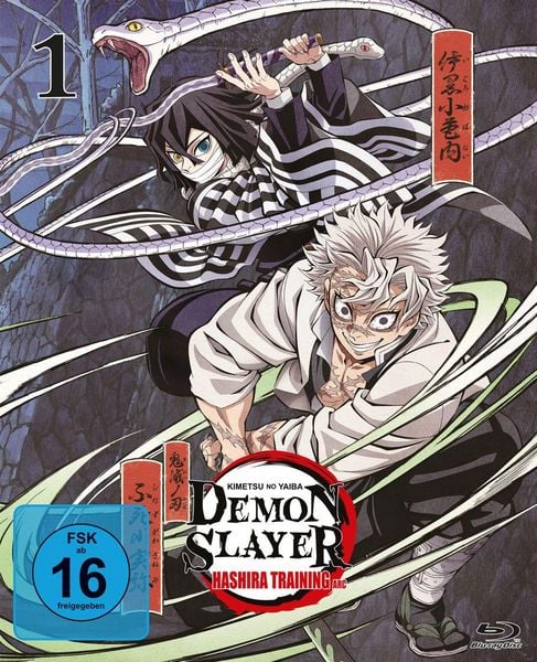 Demon Slayer: Kimetsu no Yaiba Hashira Training Arc - Vol.1  (Blu-ray Disc)