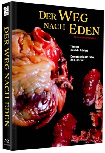 Der Weg nach Eden - Uncut Mediabook Edition  (DVD+blu-ray) (E)