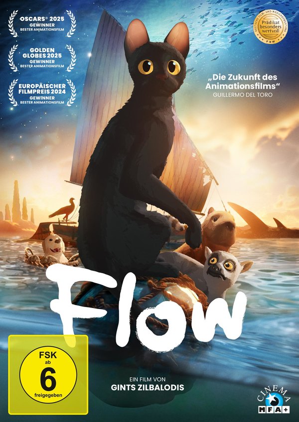 Flow  (DVD)