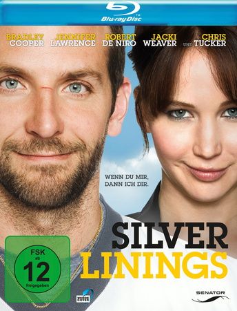 Silver Linings (blu-ray)