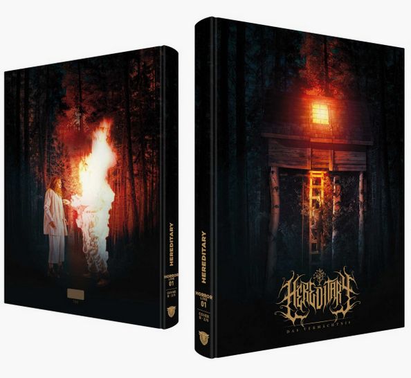 Hereditary - Das Vermächtnis - Uncut Mediabook Edition  (DVD+blu-ray) (B)