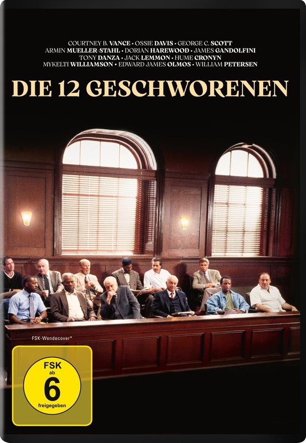 Die 12 Geschworenen  (DVD)